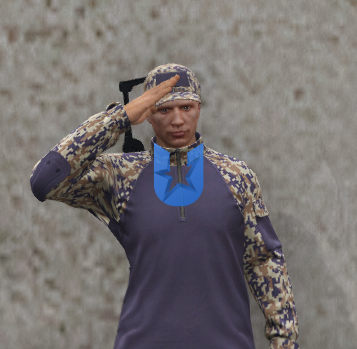 1734248808451.png