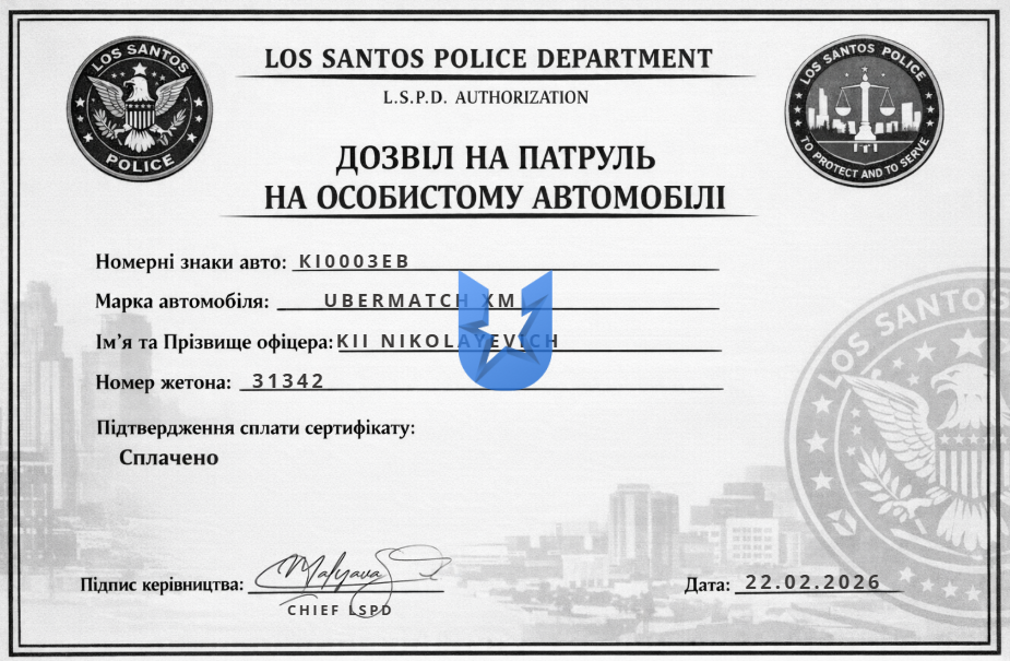 1770049697290.png
