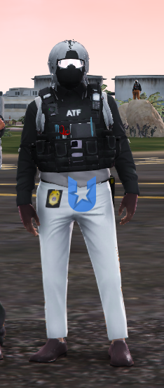 1776064971876.png