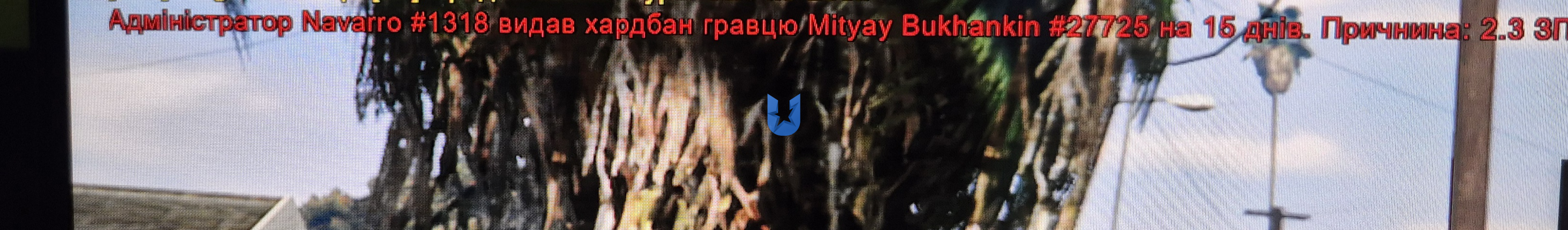 572.jpg