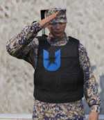 1734594018995.png
