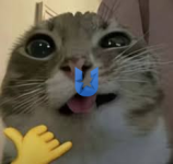 1770743614522.png