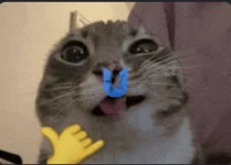 1781712238965.png