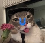 rigby cat ok_.jpg