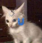 0664b870380fc09b0c76c0d1791aece5.jpg