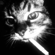 Zed Norz
