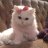 Kathy Lestrange