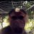 Denis_Burmay