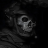 9_Ghost