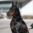liludoberman