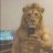 Pedro_Chill